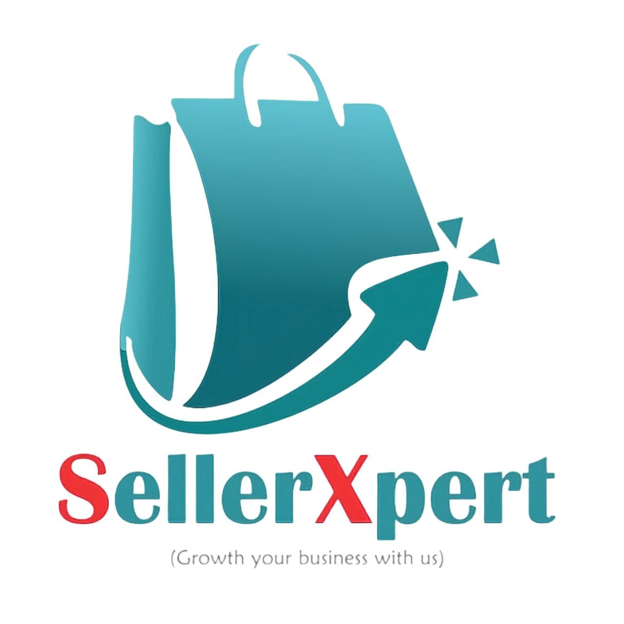 sellerxpert.in